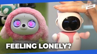 No to cats and dogs, but yes to AI companion robots?