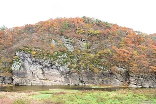 "반구천 암각화를 세계유산으로"…울산시, 프랑스에 사절단 파견