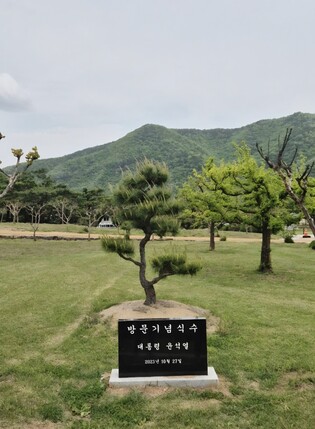 병산서원서 사라진 '윤석열 기념식수 비석'…안동시, 현황 파악