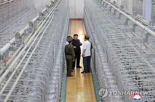 S. Korea checking for possible radioactive wastewater from N.K. uranium plant