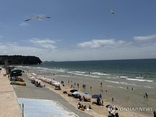 '바닷속으로 풍덩'…충남 서해안 해수욕장 일제히 개장