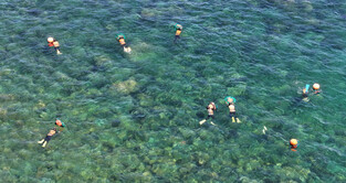 'Haenyeo' female divers