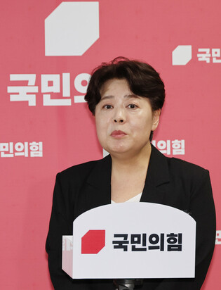 Opposition party's new innovation committee chair