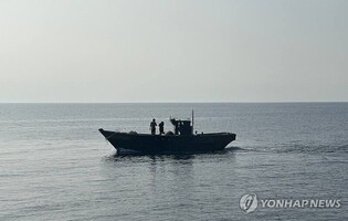 Boat carrying repatriated N. Koreans safely docks at port in North: official