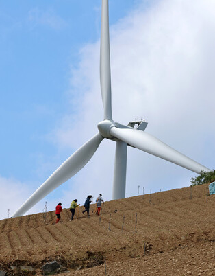 Drought-hit mountainside cabbage field