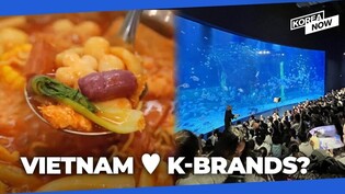 From aquariums to tteokbokki, Vietnam’s growing appetite for all things Korean