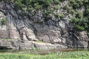 (LEAD) S. Korea's prehistoric petroglyphs inscribed on UNESCO World Heritage list
