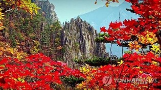 N. Korea's Mount Kumgang listed as UNESCO World Heritage site