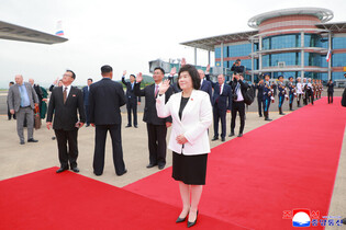 Russian FM returns home after N. Korea visit