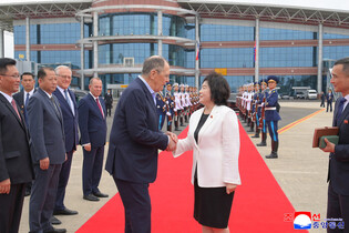 Russian FM returns home after N. Korea visit