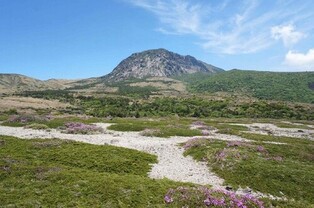 28,000-Year-Old Rhyolitic Rock Field on Mt. Halla Designated as Natural Monument