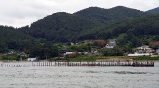 쪽빛 바다 위에 새겨진 'V자 지혜'…남해 지족해협 죽방렴