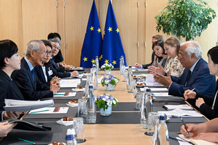 Lee's special envoy in Brussels