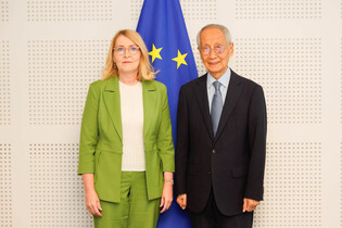 Lee's special envoy in Brussels