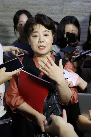 Opposition party's innovation committee chair