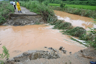 Torrential rain in S. Korea