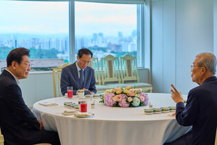 Lee meets ex-interim leader of opposition party
