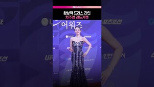 압도적 드레스 라인 차주영 레드카펫 #차주영 #청룡시리즈어워즈 #레드카펫