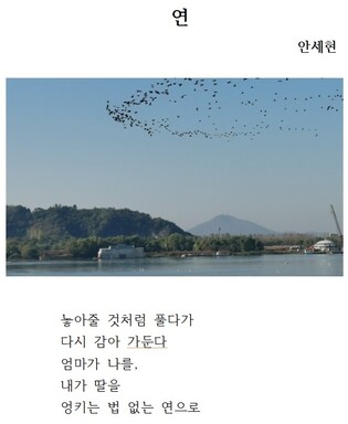 오장환 디카시 신인문학상에 안세현씨 '연'