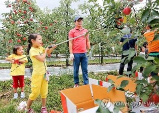 색에 반하고 맛에 취한다…장수 한우랑사과랑축제 9월 18일 개막