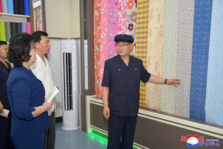 N.K. premier inspects silk mill