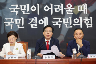 Opposition party's interim leader