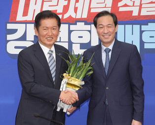 New leader of ruling party