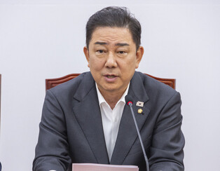 Ruling party's whip