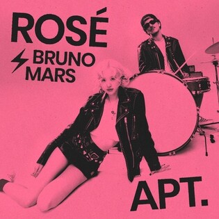 (LEAD) Rose lands 8 MTV VMA nominations, including Video of the Year