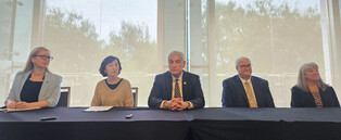 Senior U.S. defense official at press conference