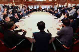 Gov't-party meeting