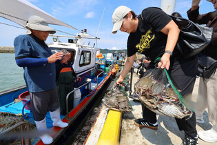 Crab season arrives at S. Korean port