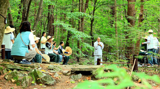 Healing in forest