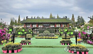 익산시, '제22회 천만송이 국화축제' 가격할인업소 모집