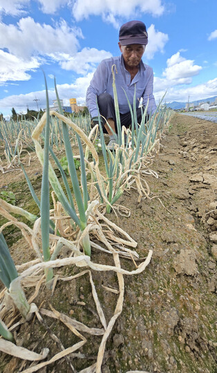 Drought in S. Korea