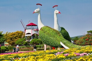 태안서 19일부터 가을꽃박람회…LED 빛축제도 병행