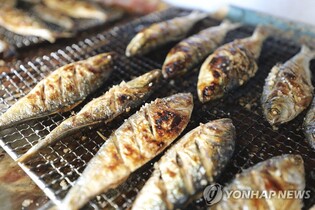"더위에 잃은 입맛, 대하·전어로 회복"…보령서 12∼28일 축제