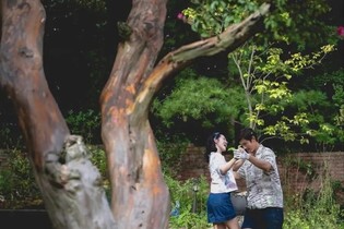KOFIC selects Park Chan-wook's 'No Other Choice' as Oscar contender