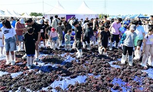 "대부 포도에 취한다"…30주년 안산대부포도축제 19~21일 개최
