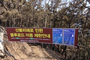 동해안 비경 담은 영덕 블루로드, 내년 3월까지 산불피해 복구