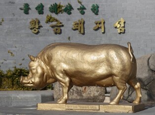 창원시, 돝섬 왕복 배편 이용료 25% 할인…12월까지 적용