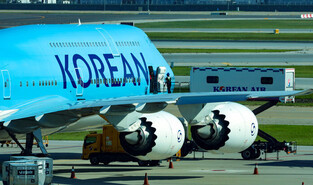 Chartered plane to bring back detained S. Koreans from U.S.