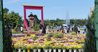 Flower festival in Goyang