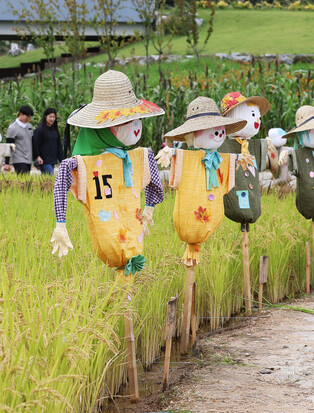 Scarecrows