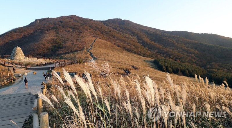 억새평원 배경 가을음악회 