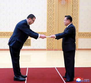 New Palestinian envoy to N. Korea