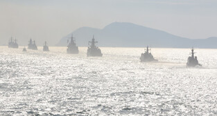 Navy's fleet review marking 80th anniv.