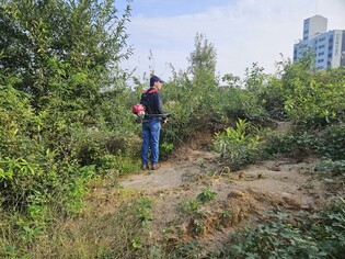 벌초왔다가 파헤쳐진 조부 묘소 본 손자 "너무 황당해 손 떨려"