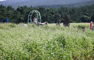 Flower festival