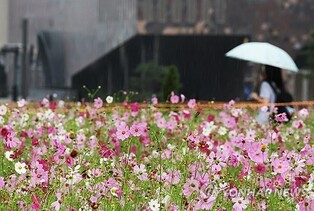 '보름달 보기 어려운' 대전·세종·충남…대체로 흐려